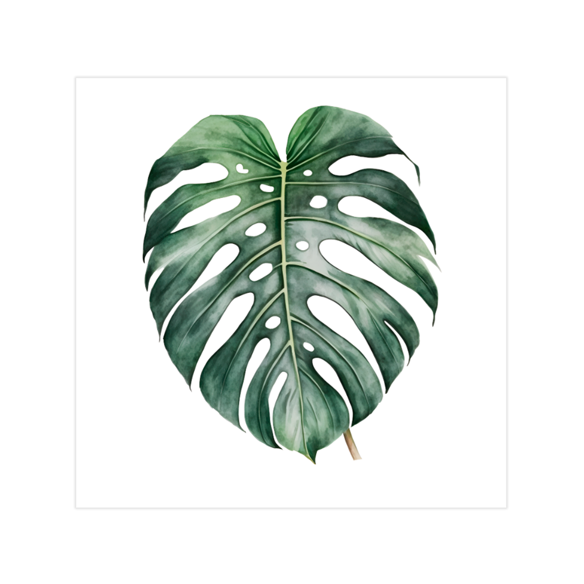 0316 - Quadro Monstera 1