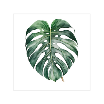 0316 - Quadro Monstera 1