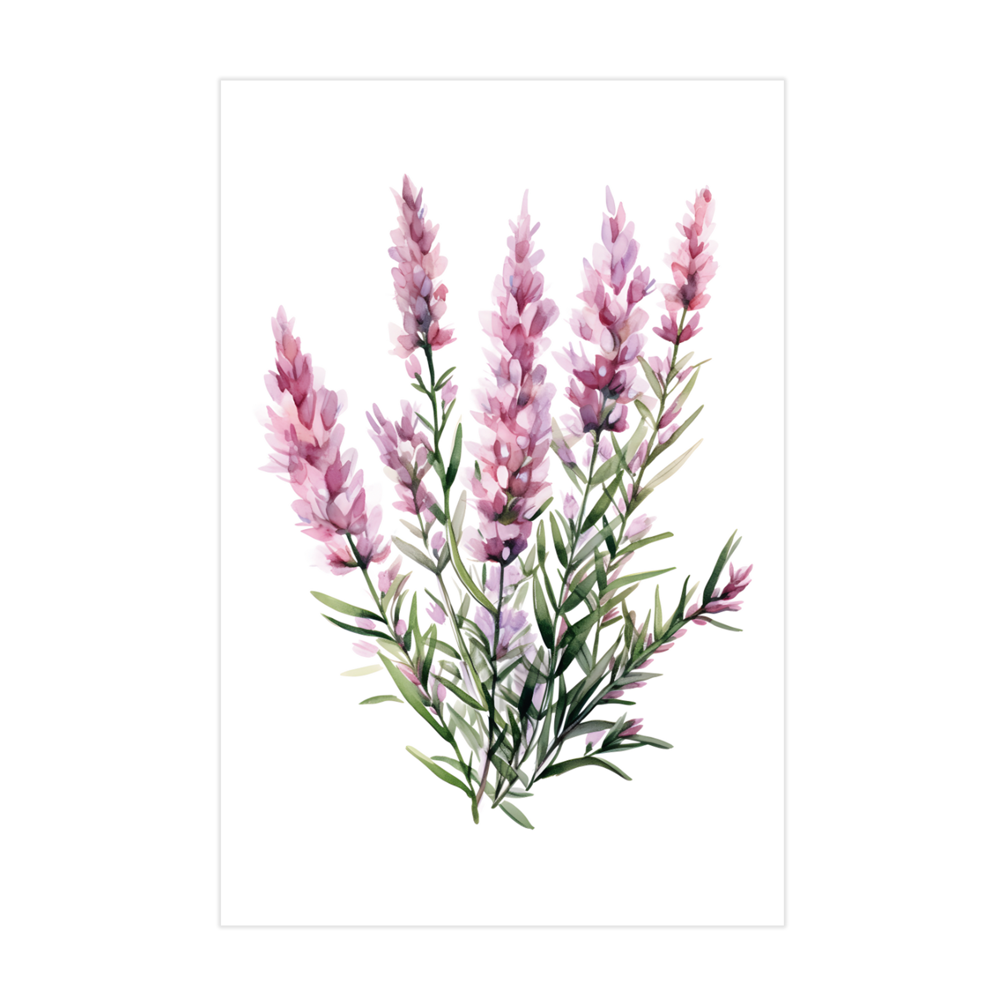 0325 - Quadro Lavanda Rosa