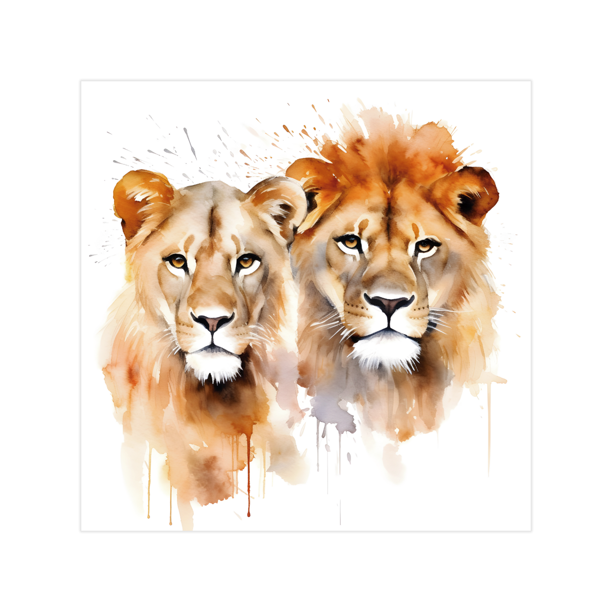 0359 - Quadro Casal de Leões