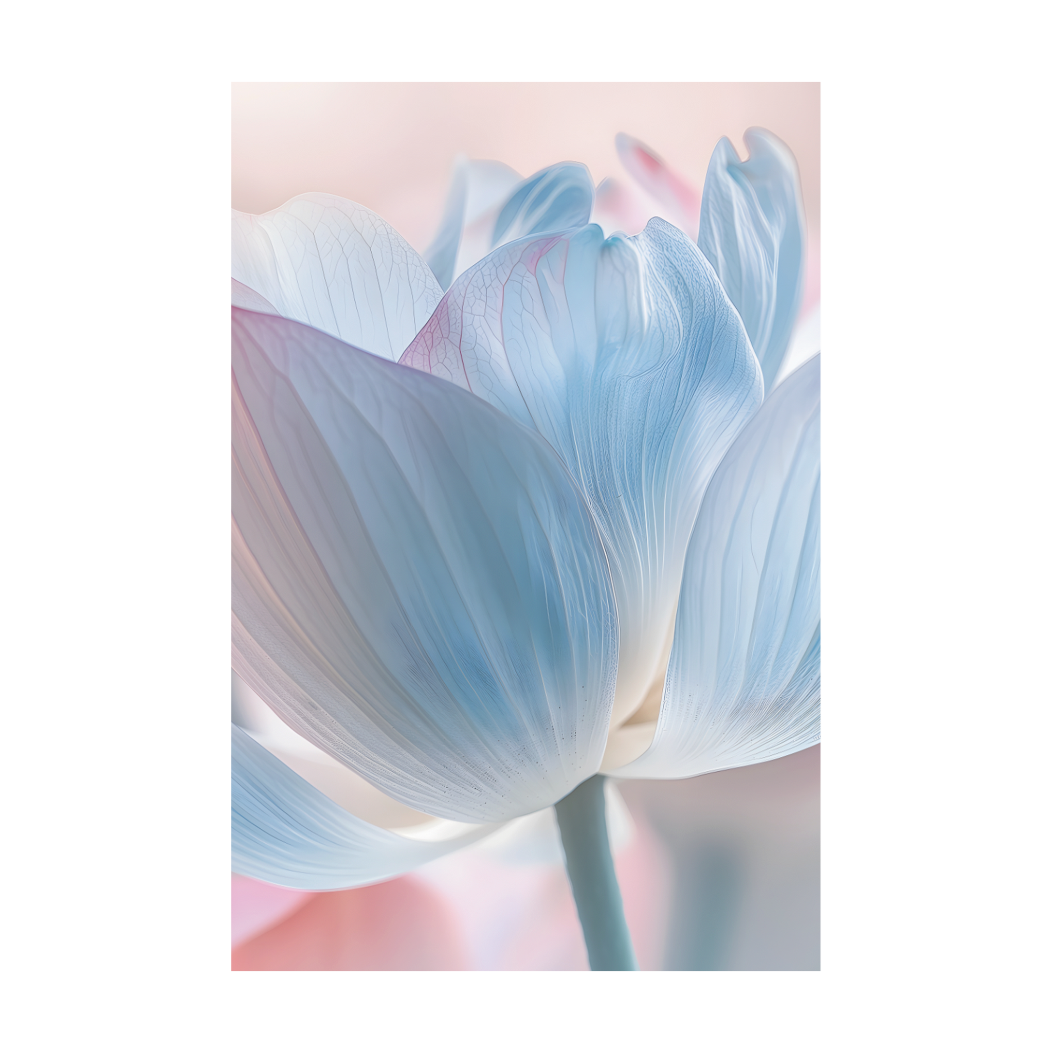 0572 - Quadro Foco na Lotus