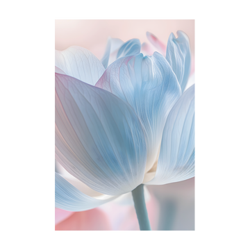 0572 - Quadro Foco na Lotus