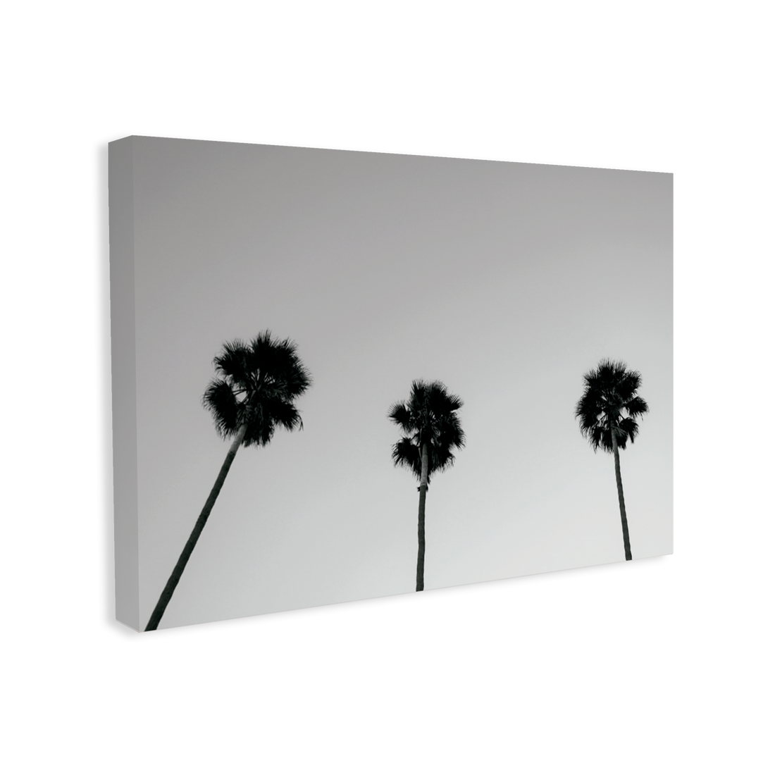801 - Quadro Sombras do Paraíso
