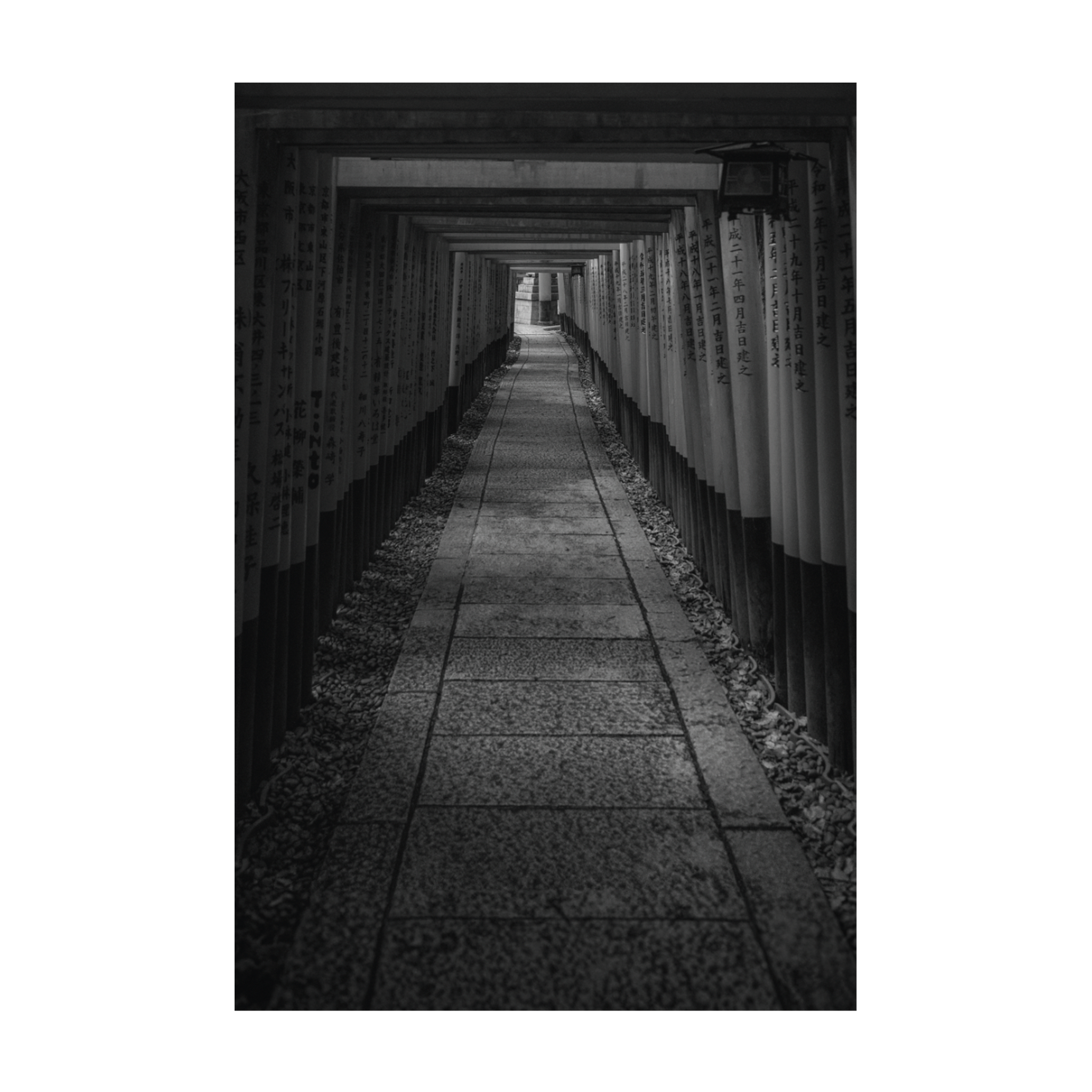 0814 - Quadro O Caminho