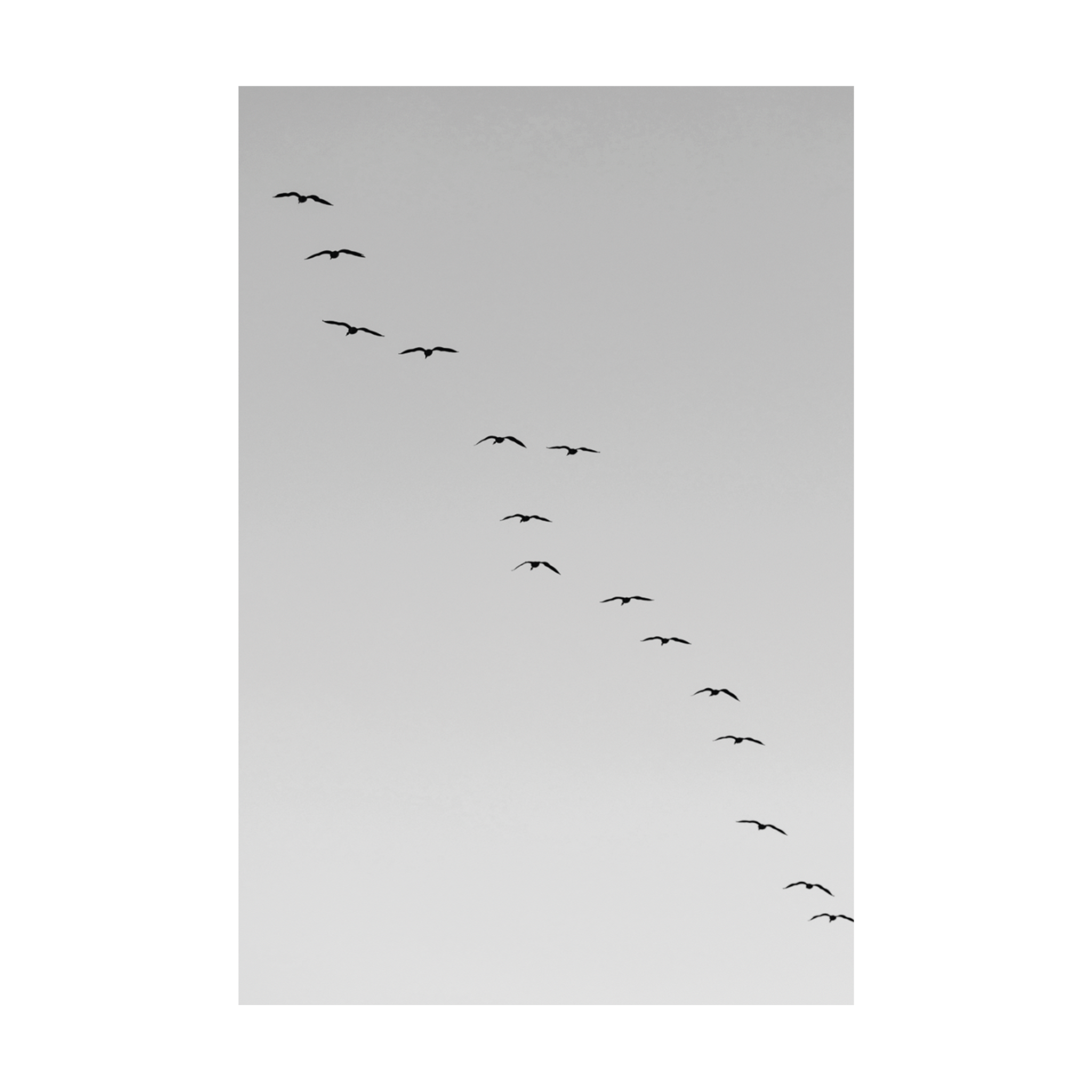 0818 - Quadro Sobrevoo
