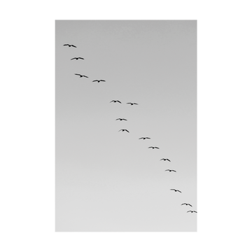 0818 - Quadro Sobrevoo