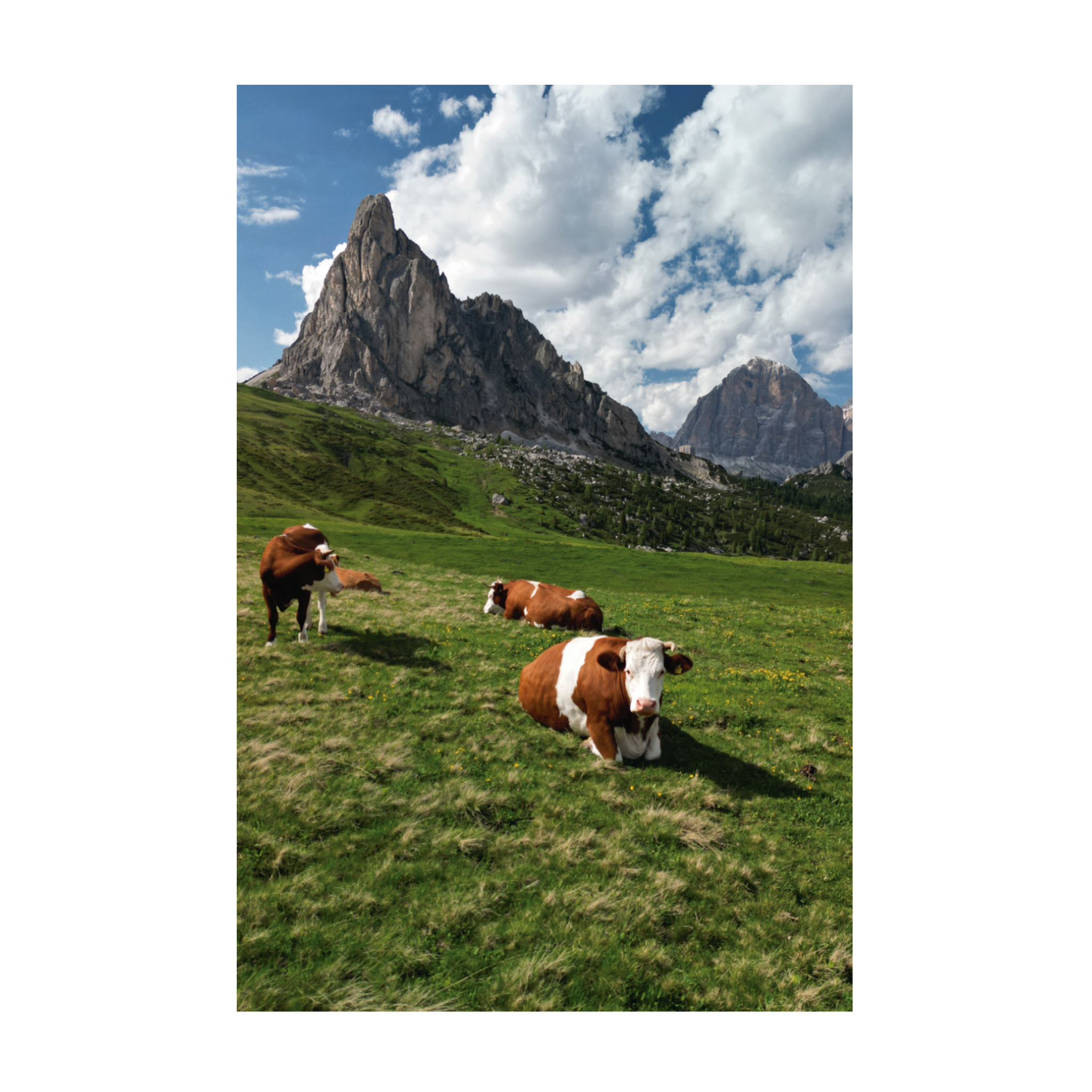 0929 - Quadro Dolomitas VII