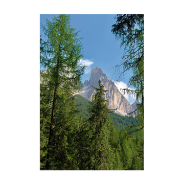 0944 -  Quadro Dolomitas XII
