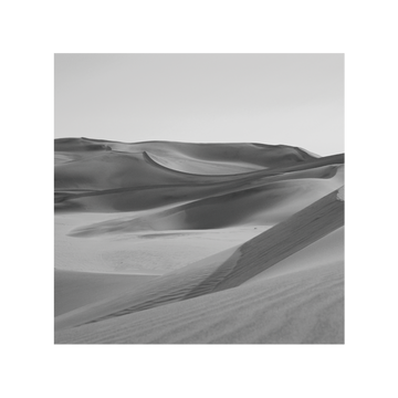 0962 Quadro Dunas Antigas